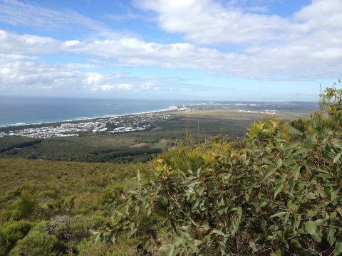 Mount Coolum National Park - Accommodation Great Ocean Road 0