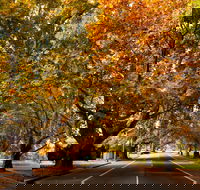 Richmond - Accommodation Great Ocean Road