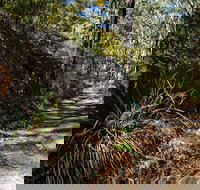 Starlights Trail - Accommodation Great Ocean Road