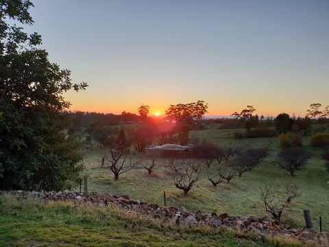 Taralee Orchards - Accommodation Great Ocean Road 1