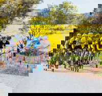 The Heron's Highway - Avon River Cycle Trail - Accommodation Great Ocean Road