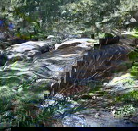 Towarri National Park - Accommodation Great Ocean Road