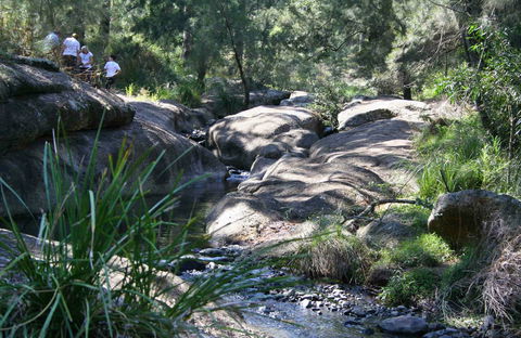 Towarri National Park - Accommodation Great Ocean Road 0