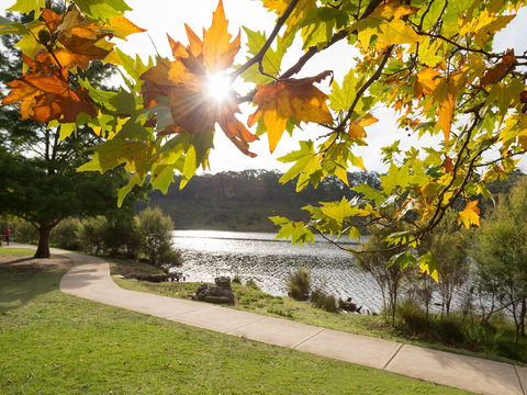 Wentworth Falls Lake - Accommodation Great Ocean Road 0