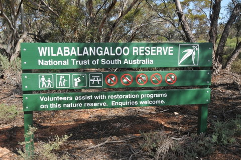 Wilabalangaloo Reserve - Accommodation Great Ocean Road 0