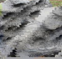 Windara Reef - Accommodation Great Ocean Road