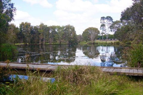 Baldwin Swamp Environmental Park - Accommodation Great Ocean Road 0