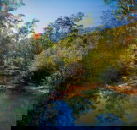 Bargo State Conservation Area - Accommodation Great Ocean Road