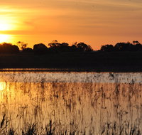 Bool Lagoon Game Reserve and Hacks Lagoon Conservation Park - Accommodation Great Ocean Road