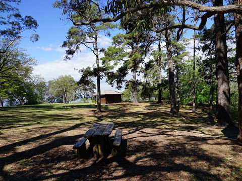 Bowen Mountain Park - Accommodation Great Ocean Road 0