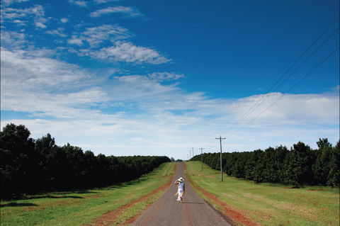 Bundaberg Region - Accommodation Great Ocean Road 1