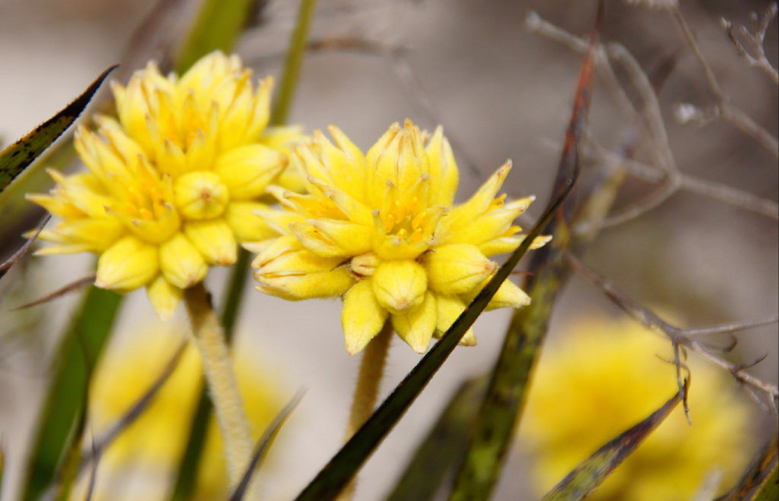 Yathroo WA Accommodation Great Ocean Road