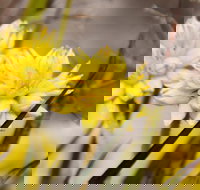 Cataby - Accommodation Great Ocean Road