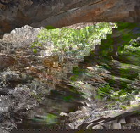 Cave Creek Walking Track - Accommodation Great Ocean Road