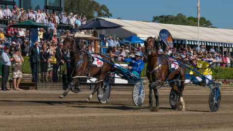 Club Menangle - Accommodation Great Ocean Road 2