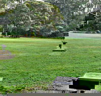 Cottonwood Glen Picnic Area - Accommodation Great Ocean Road