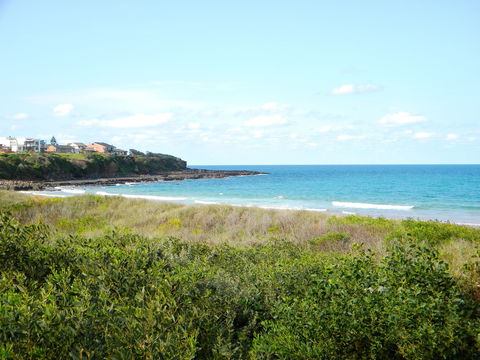 Culburra Surf Beach - Accommodation Great Ocean Road 2