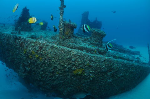 Curtin Artificial Reef Dive Site - Accommodation Great Ocean Road 1