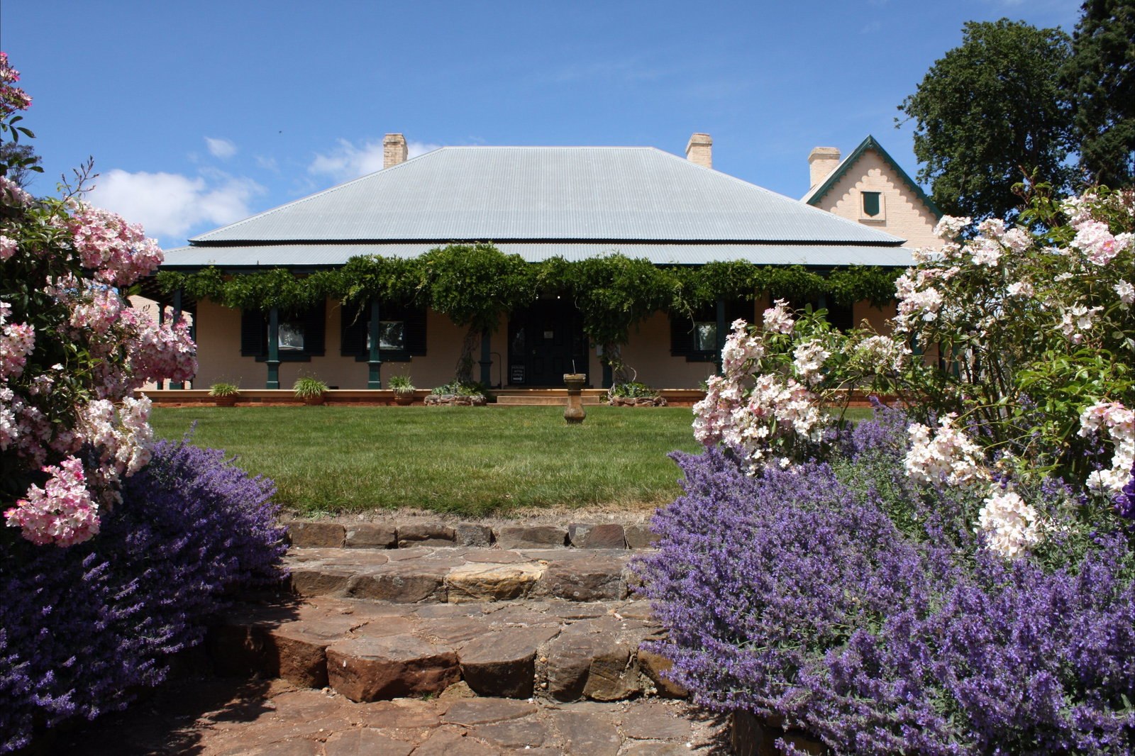Accommodation Great Ocean Road