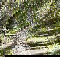 Euglah Rock Walking Track - Accommodation Great Ocean Road