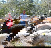 Haigslea EWE Nique Hobby Farm - Accommodation Great Ocean Road