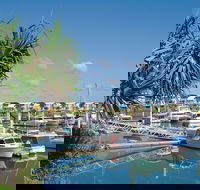 Keppel Bay Fishing Adventure - Accommodation Great Ocean Road