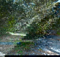 Lillypilly loop trail - Accommodation Great Ocean Road