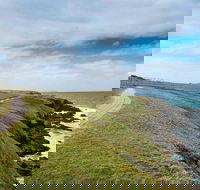 Look At Me Now Headland Walk - Accommodation Great Ocean Road