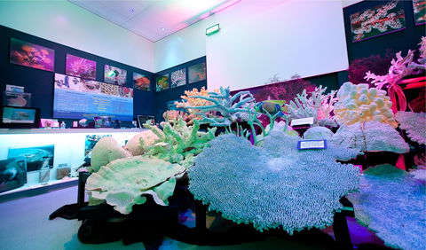 Marine Discovery Centre Hastings Point - Accommodation Great Ocean Road 2