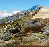 Mount Exmouth walking track - Accommodation Great Ocean Road