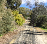 Naracoorte North Nature Park - Accommodation Great Ocean Road