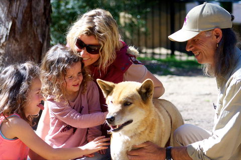 Potoroo Palace Native Animal Sanctuary - Accommodation Great Ocean Road 0