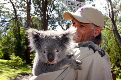 Potoroo Palace Native Animal Sanctuary - Accommodation Great Ocean Road 2