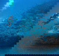 The Zanoni Wreck - Accommodation Great Ocean Road