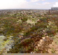 The Pines Flora and Fauna Reserve - Accommodation Great Ocean Road