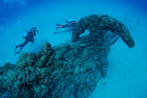 Aarhus Dive Site - Accommodation Great Ocean Road 1
