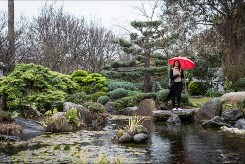 Adelaide Himeji Garden - Accommodation Great Ocean Road 2