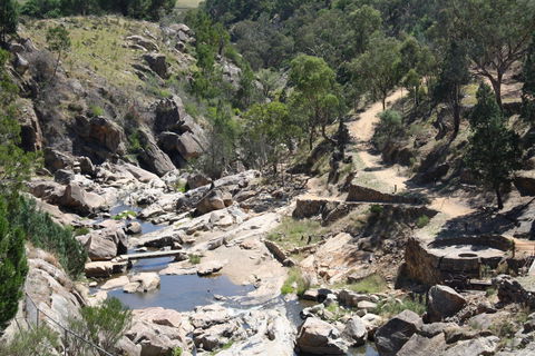 Adelong Falls Gold Mill Ruins - Accommodation Great Ocean Road 1