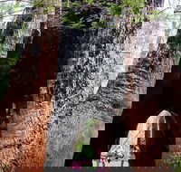 Ancient Empire Walk Valley of the Giants - Accommodation Great Ocean Road