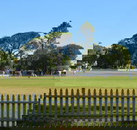 Cootamundra Cricketing Exploration - Accommodation Great Ocean Road