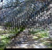 Federation Walk - Accommodation Great Ocean Road