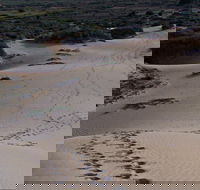 Foreshore Walk Mungo National Park - Accommodation Great Ocean Road