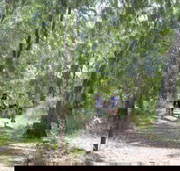 Hay Free Push Bikes - Accommodation Great Ocean Road