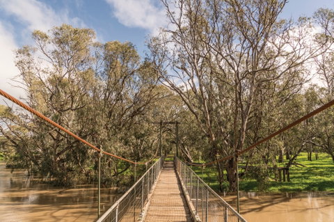 Lachlan River Swing Bridge - Accommodation Great Ocean Road 0