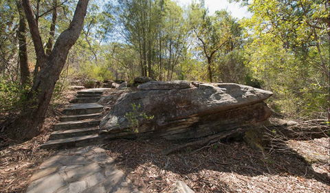 Mooney Mooney Nature Walk - Accommodation Great Ocean Road 0