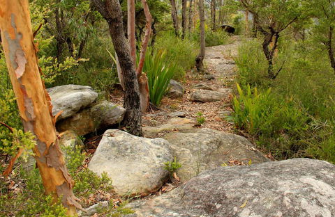 Mount Olive Trail - Accommodation Great Ocean Road 0