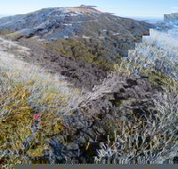 Mt Buller Bike Park - Accommodation Great Ocean Road