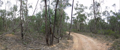 Paddys Ranges State Park - Accommodation Great Ocean Road 0