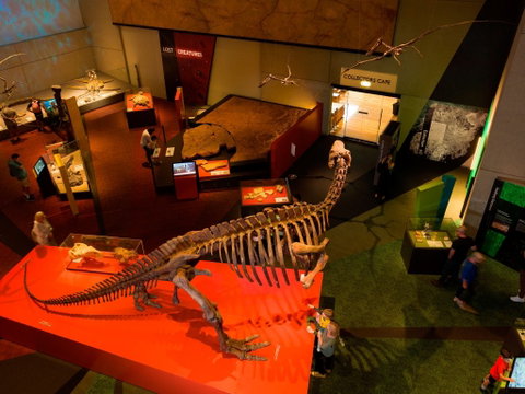 Queensland Museum - Accommodation Great Ocean Road 2