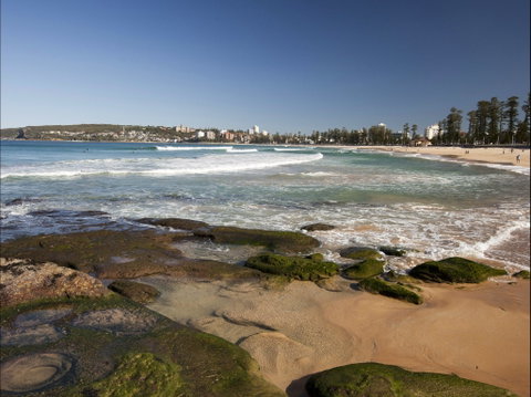 Queenscliff Beach - Accommodation Great Ocean Road 0